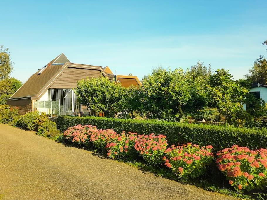 Lovely House Till 6 P. Near Amsterdam, Sea Lägenhet Opmeer Exteriör bild